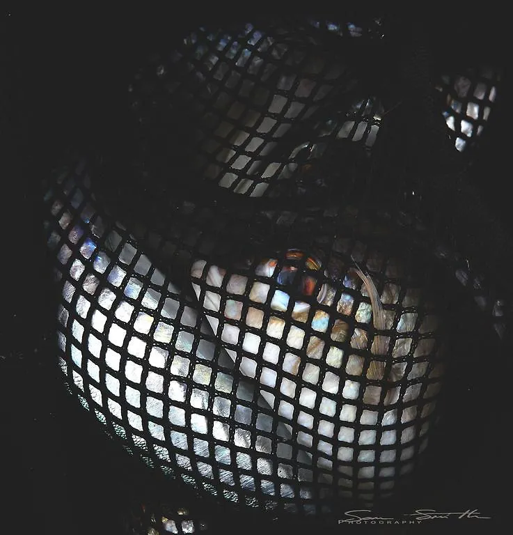 The Other Side Villas 코란타